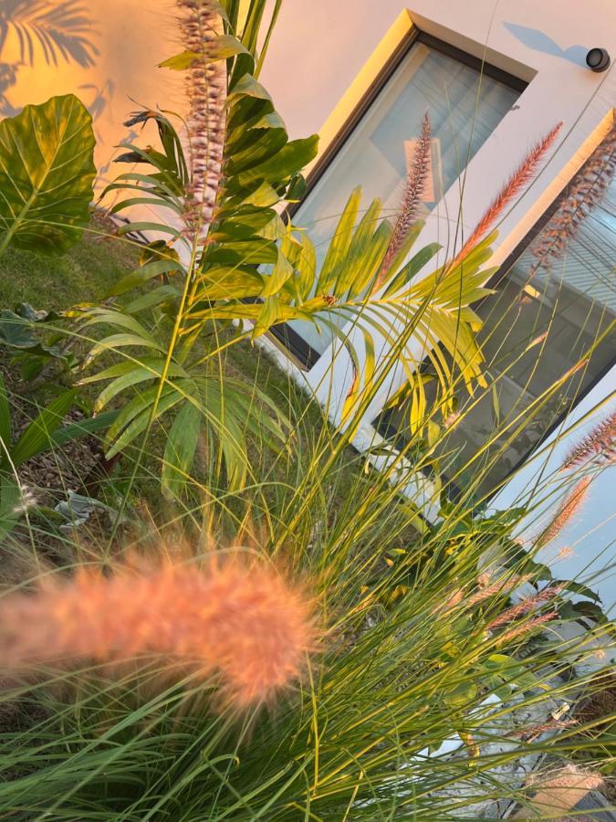 L'Empreinte-Oasis De Serenite Au Coeur D'Un Jardin Tropical Le Tampon Bagian luar foto